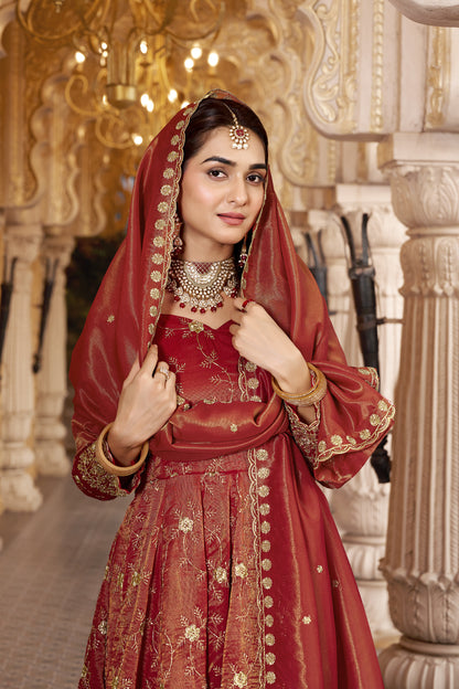 Rust Embroidered Designer Anarkali Suit Set